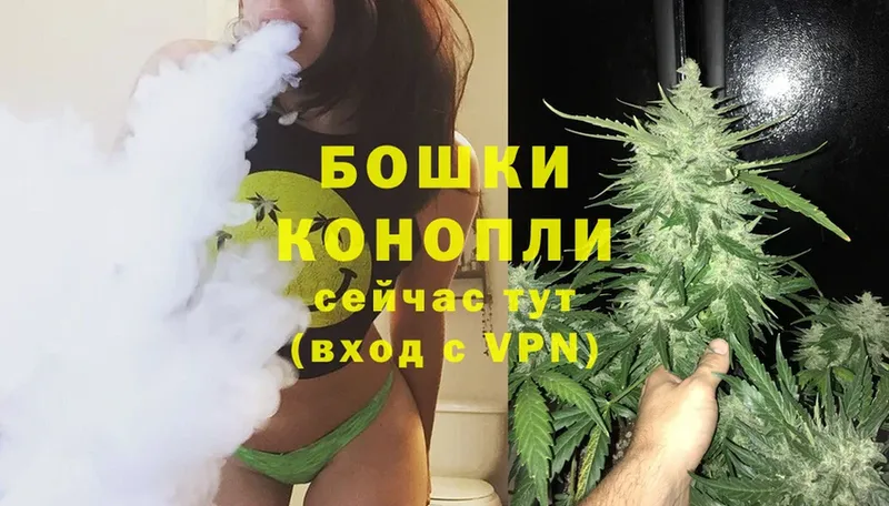 Шишки марихуана THC 21%  Вытегра 